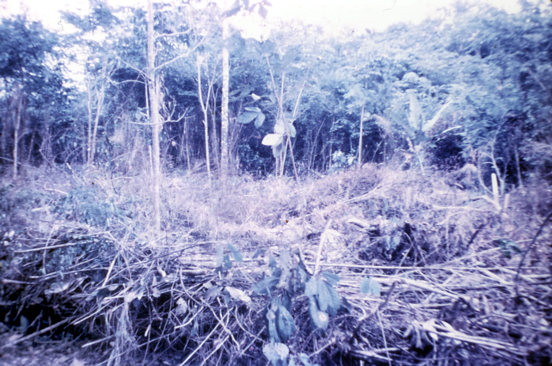 clearing the field